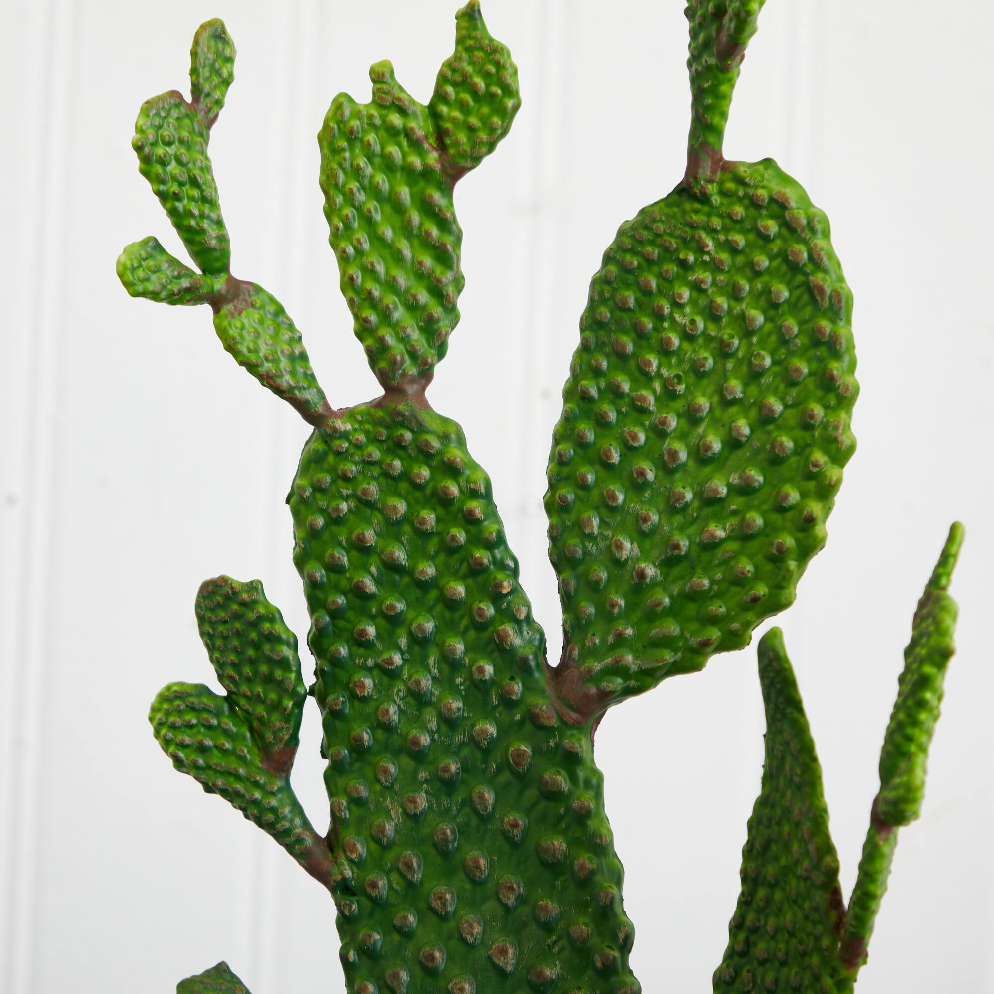 2ft. Cactus Plant in White Planter